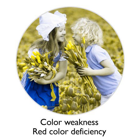 This is the image what color weakness with red color deficiency see.