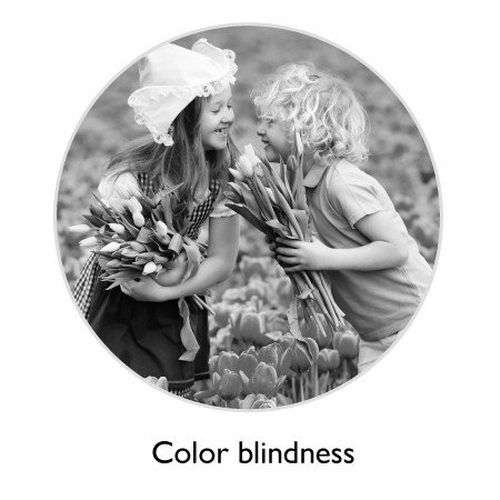 This is the image what color blindness see.