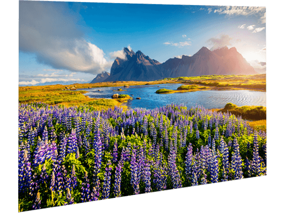 Die HDR10-Technologie von BenQ bietet bereits im Bearbeitungsprozess eine Voransicht auf Videoinhalte.