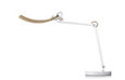 Wit Eye-Care Desk Lamp