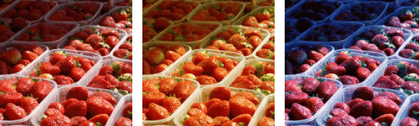 Die wahrgenommene Farbkonstanz wird an einem Foto von Erdbeeren mit unterschiedlichen Belichtungen deutlich