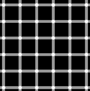 Optische Illusion: man sieht kleine schwarze Punkte, die gar nicht auf dem Bild zu sehen sind