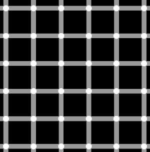 Optische Illusion: man sieht kleine schwarze Punkte, die gar nicht auf dem Bild zu sehen sind
