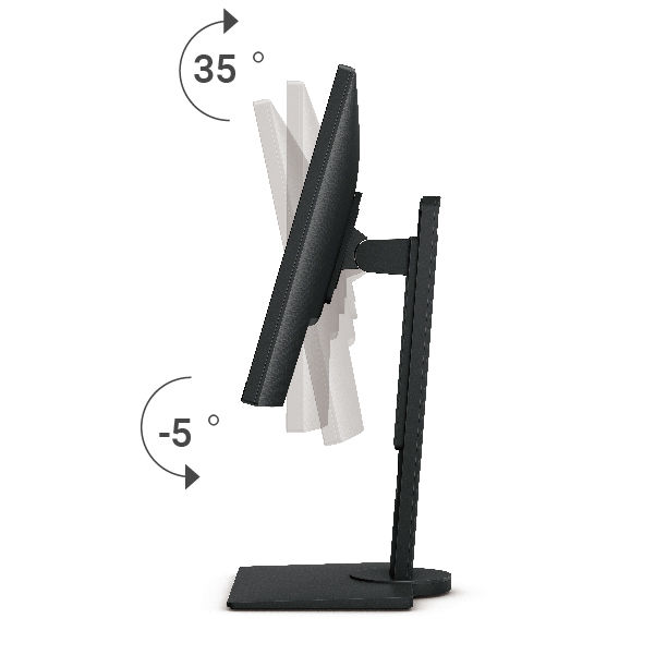 BenQ BL2483TM offers tilting, swiveling, pivoting, and height adjustment.