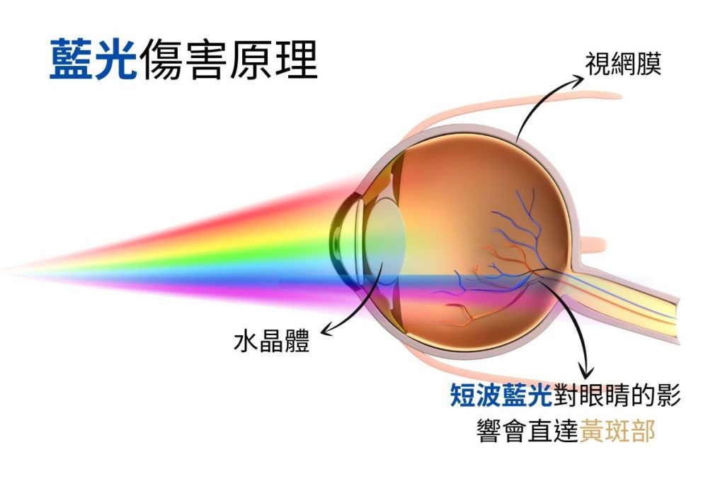 藍光的傷害原理