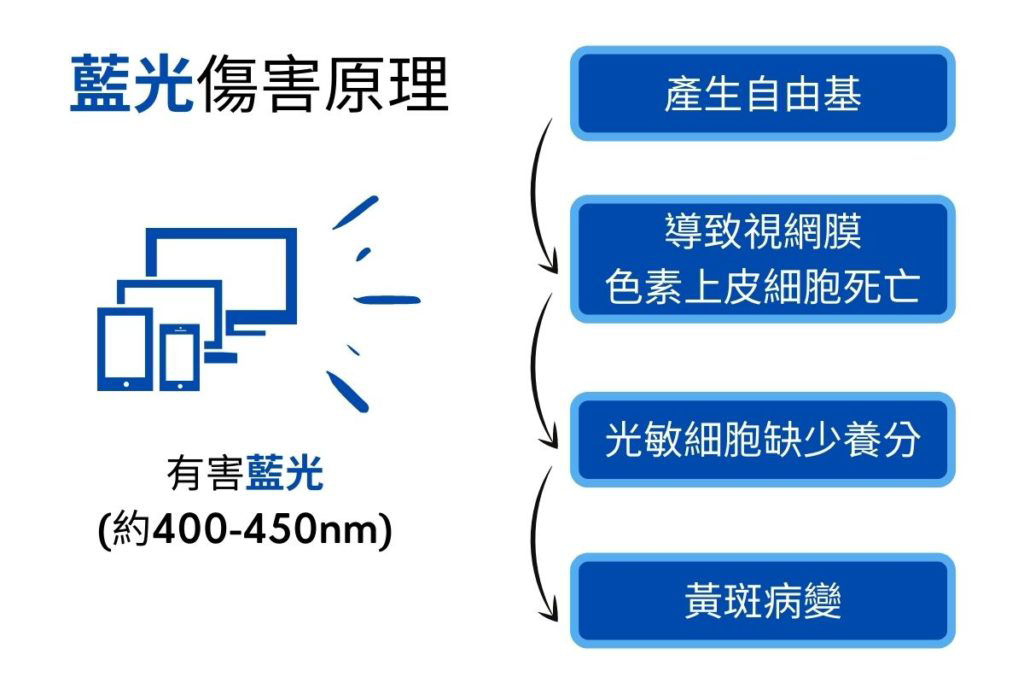 藍光的傷害原理