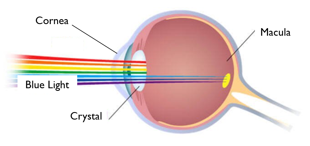 Blue light which can penetrate crystal might damage tje tissues of eyes.