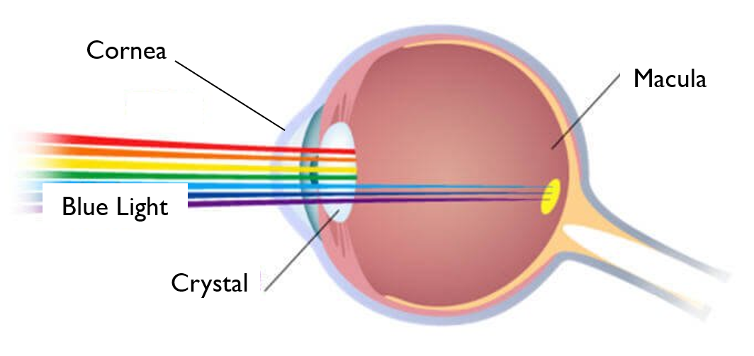 Blue Light - how harmful is it? - Milwaukee Eye Care