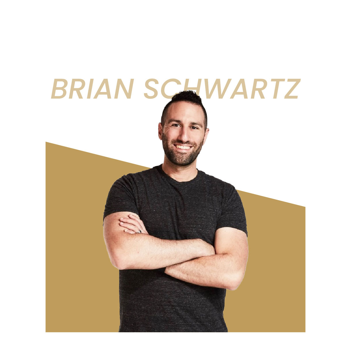 light-meets-insight-campaign-251111