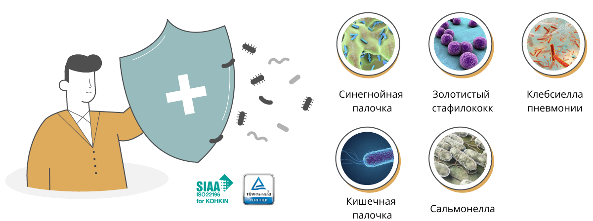 nanosilver provides effective protection against 5 most common bacteria strains