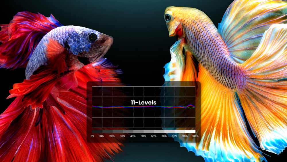 Exclusive Color Temperature Tuning