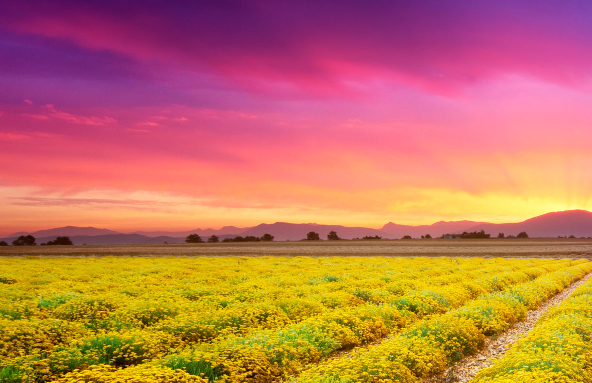 DCTI & DLTI Enhancer