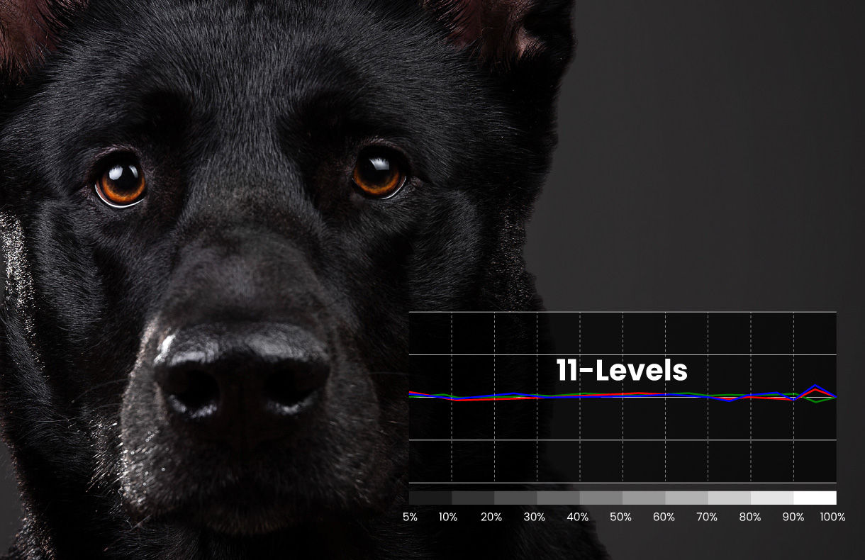 11-Levels Colour Temperature Tuning