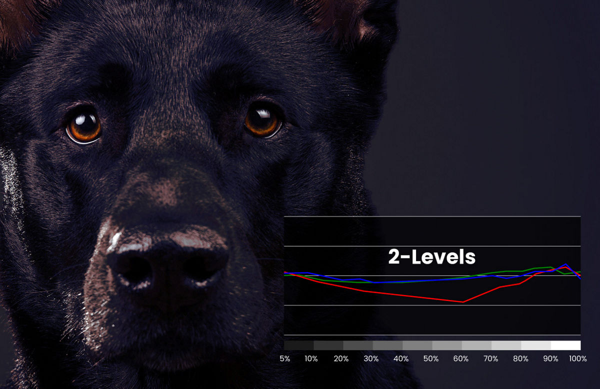 2-Levels Color Temperature Tuning