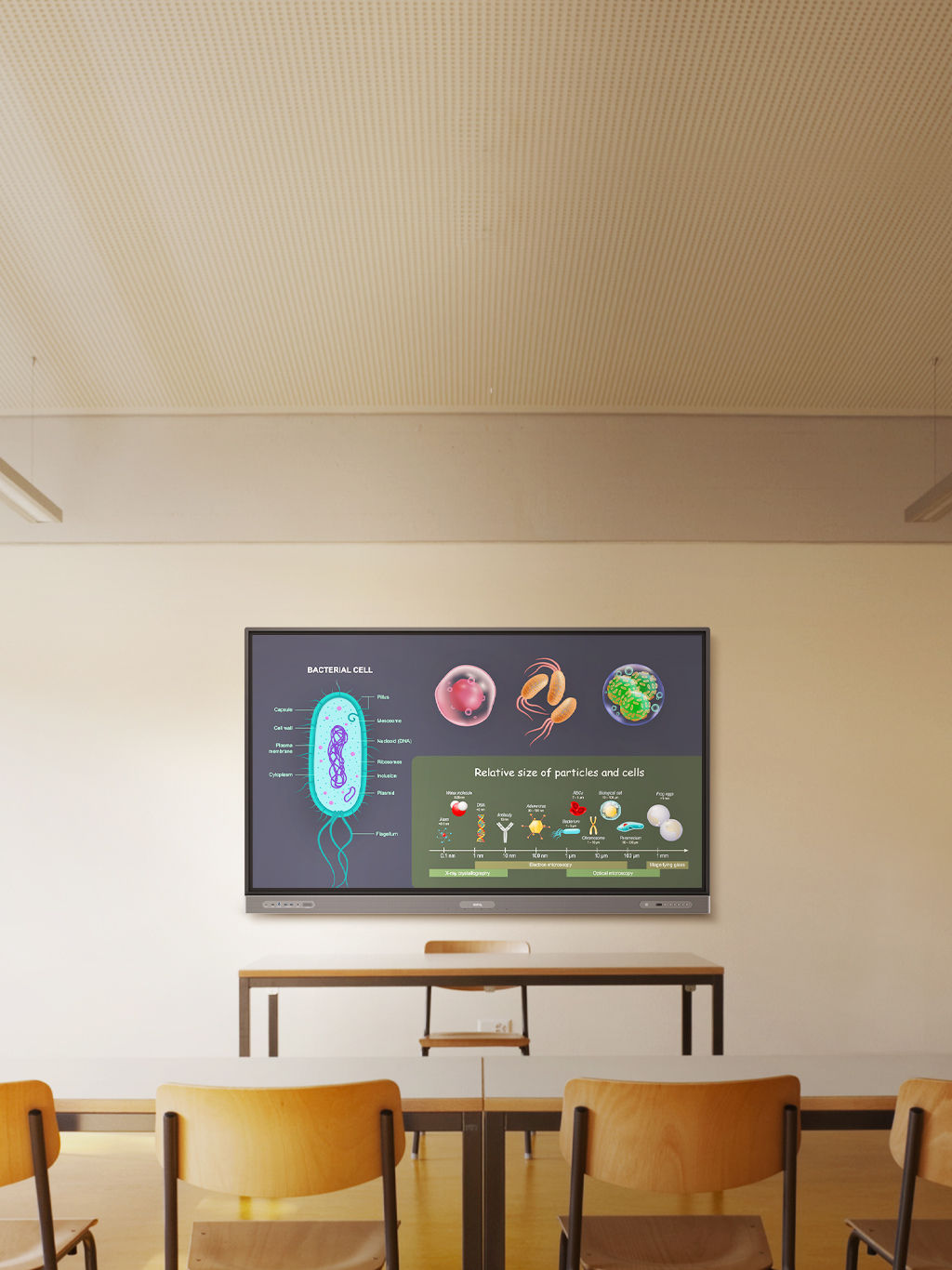 Two RP03 Pro Series BenQ Boards side by side in different classrooms