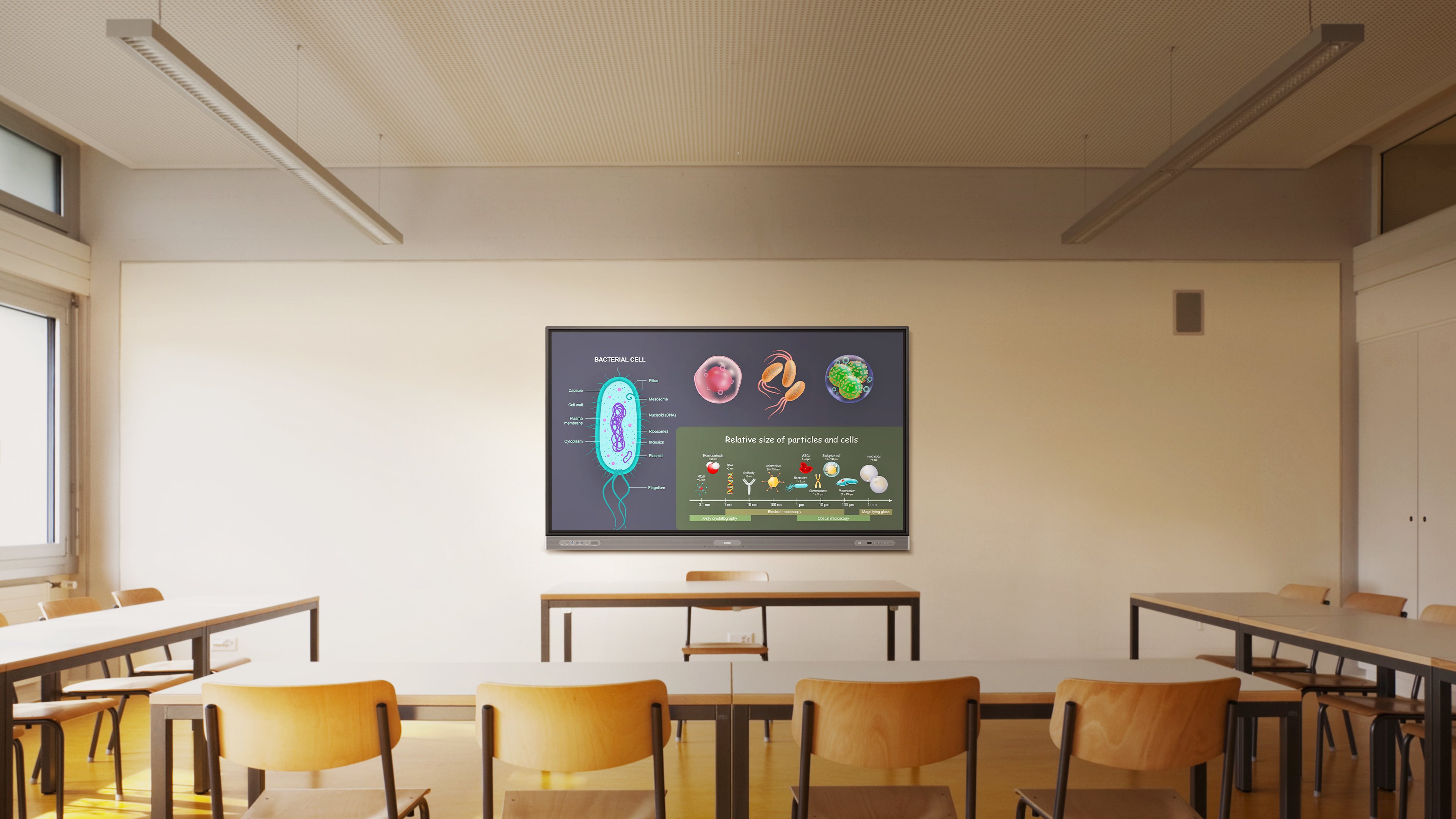 Two RP03 Pro Series BenQ Boards side by side in different classrooms