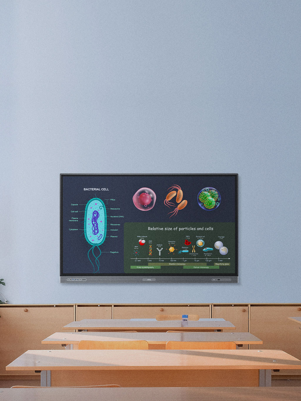 BenQ Board RP03｜教育・学校向け電子黒板 | BenQ Education Japan