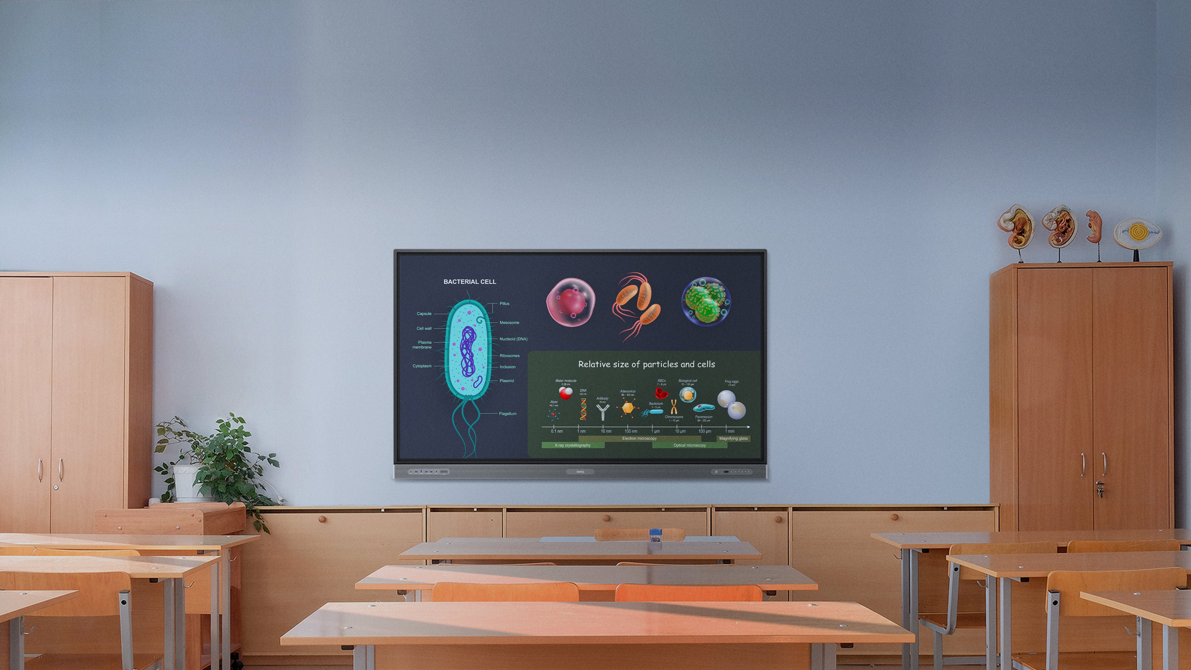 BenQ Board RP03|教育・学校向け電子黒板 | BenQ Education Japan BenQ Board RP03|教育・学校向け電子黒板 | BenQ Education Japan