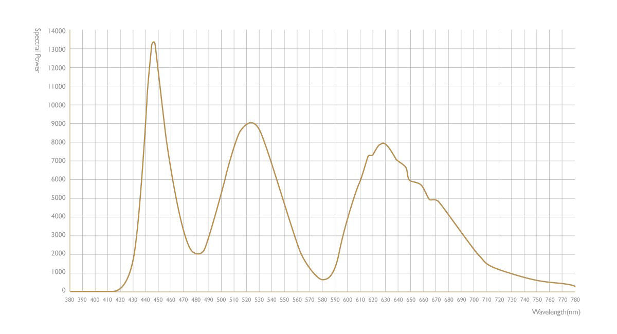 The spectral power distribution is measured by spectroradiometer.