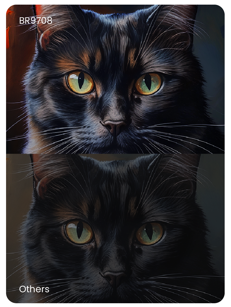 Side-by-side comparison of a black cat's face, illustrating BR9708's superior native contrast ratio and enhanced black levels, revealing crisp shadow details compared to competitor projectors.