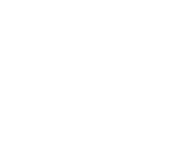 Digital assets 