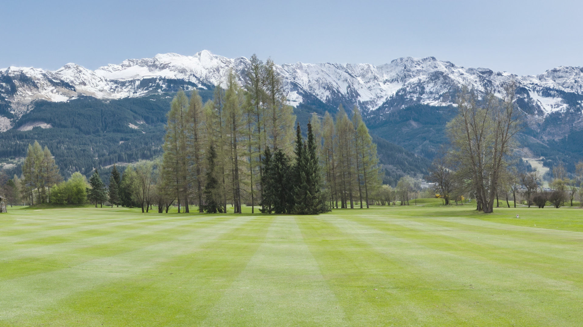 High-brightness projector example showing lower contrast and flatter image depth