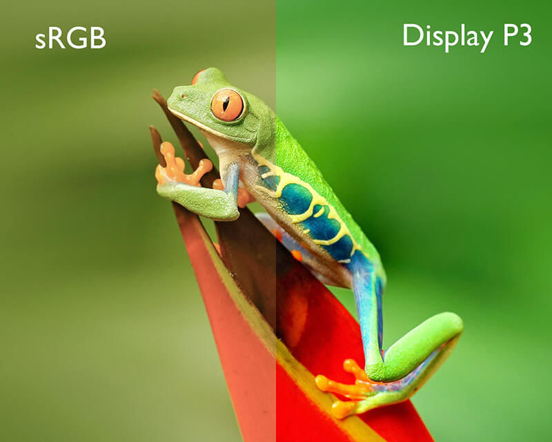 Photograph rendered in Display P3 and sRGB