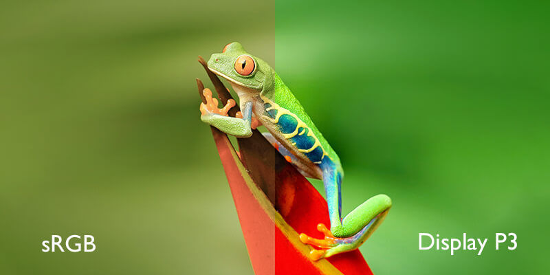 Difference between display P3 and sRGB.