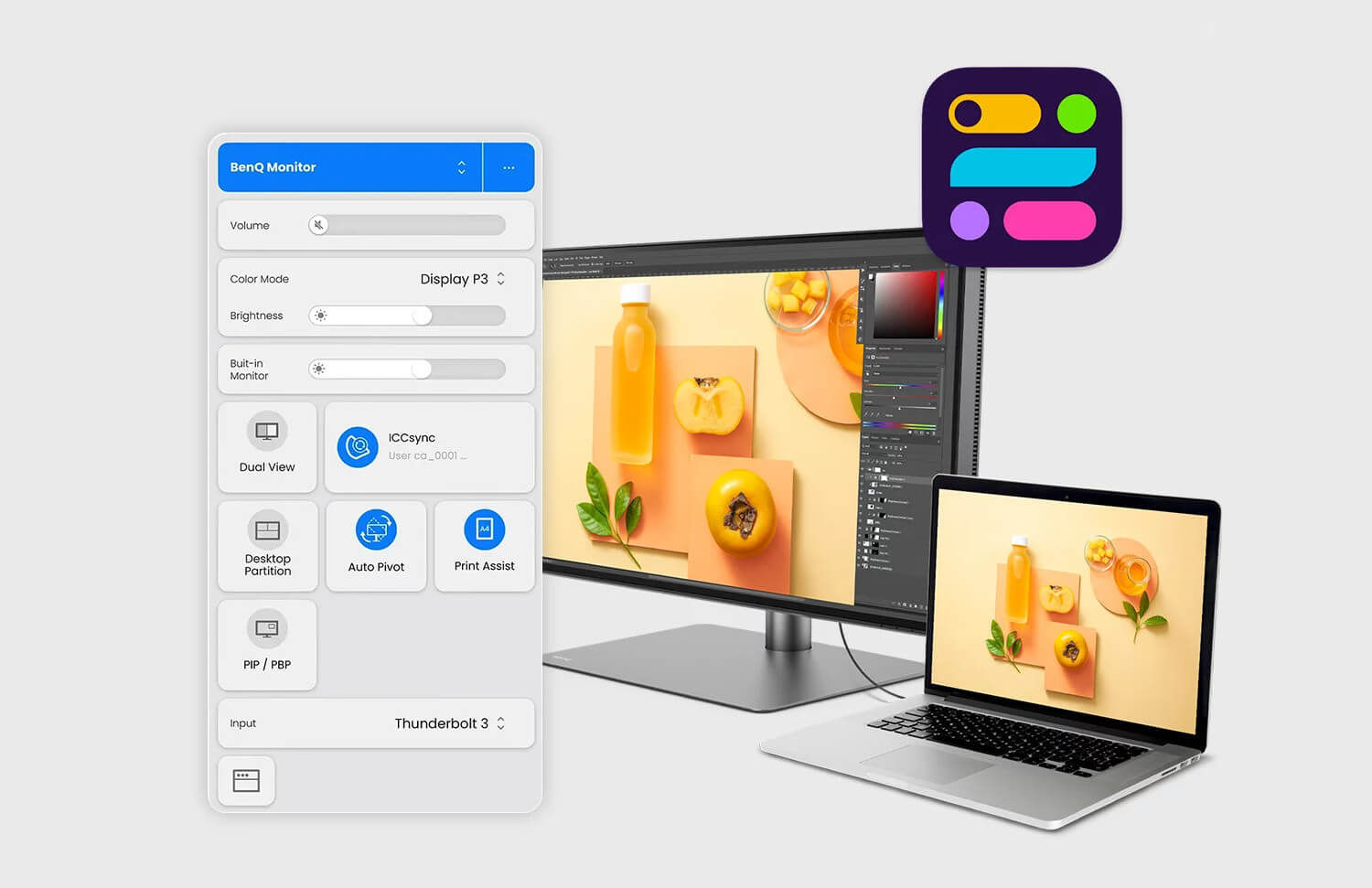 Display Pilot 2 Software