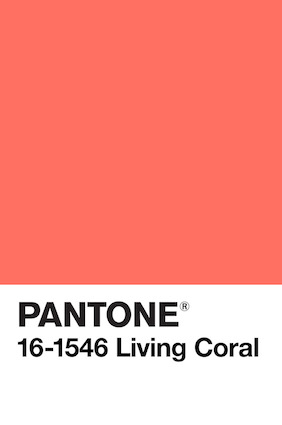  Pantone