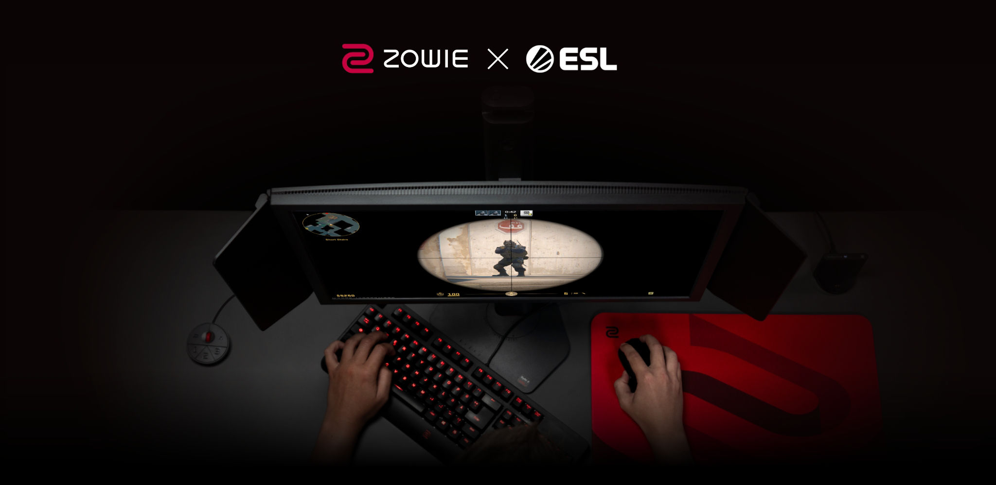 esl-zowie-pro-monitor-settings