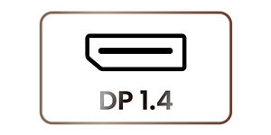 DP 1.4