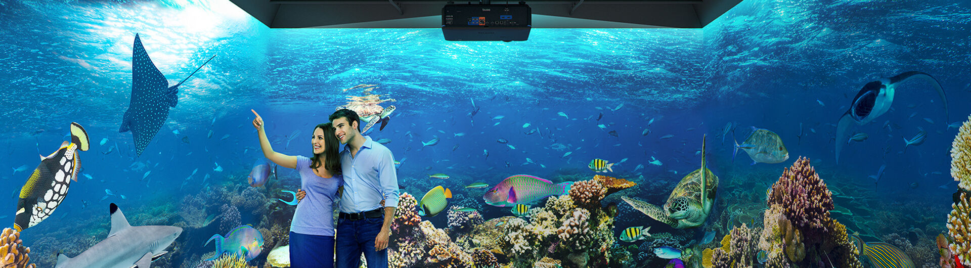 benq-installation-projectors