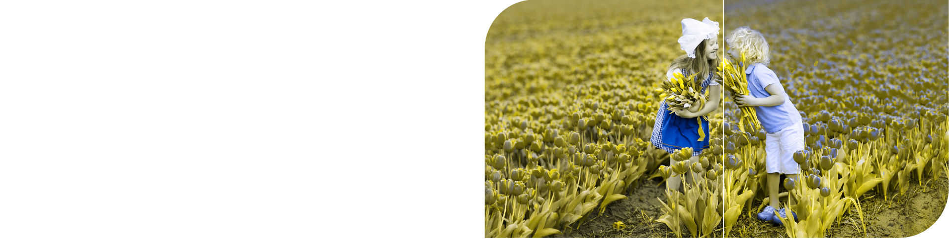 color weakness, color blindness, red color deficiency, green color deficiency