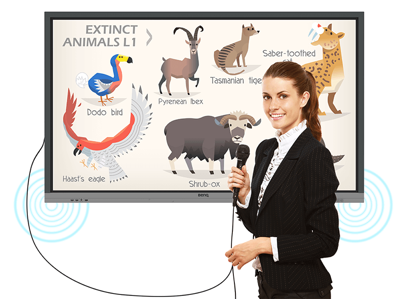 BENQ RE6501 65” Education Interactive Display