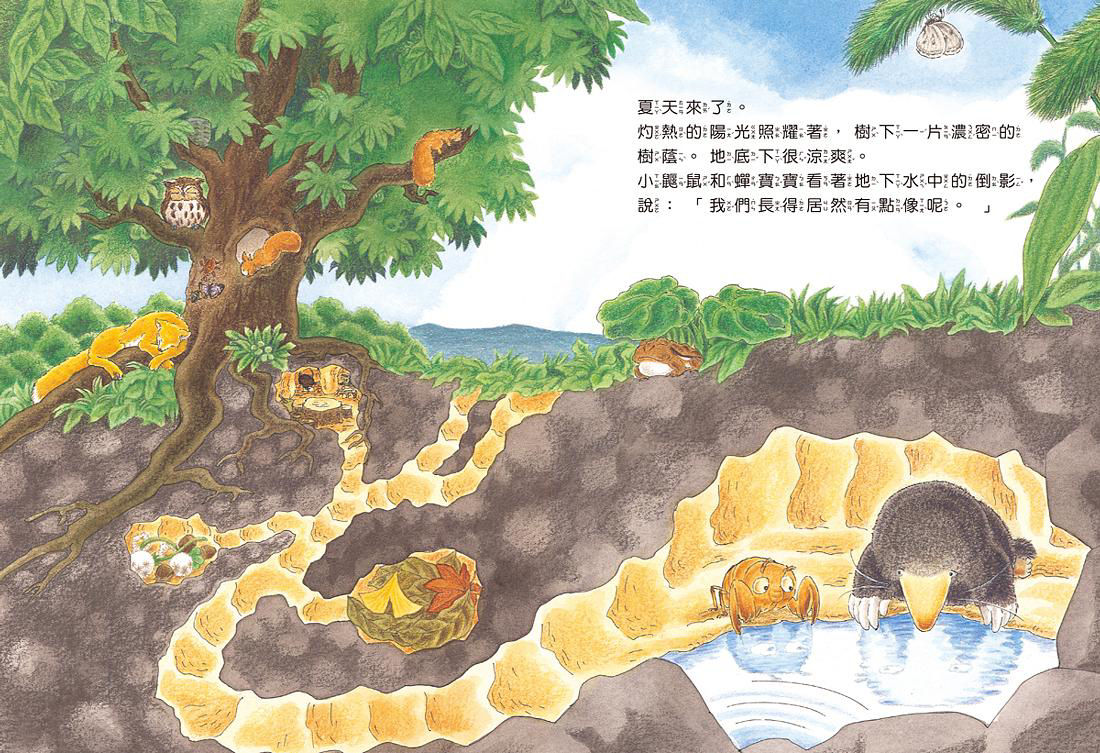 小鼴鼠和蟬寶寶_內頁