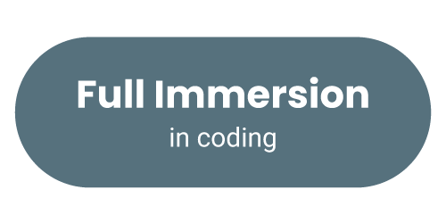 BenQ programming monitors offer you full immersion in coding