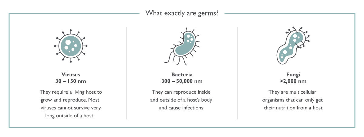 What exactly are germs?