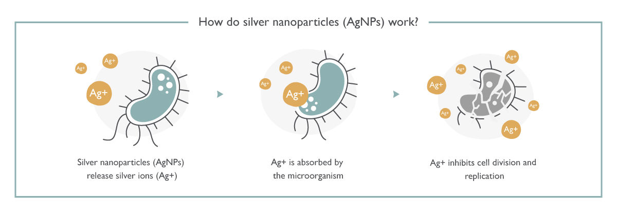 How do silver nanoparticles work?