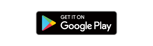 Google Play Store Logo