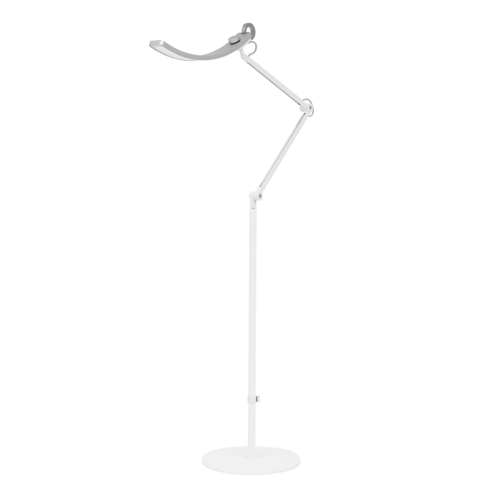 E-Reading Floor Lamp