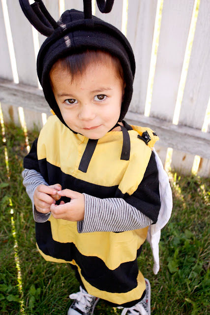 兒童萬聖節裝扮_蜜蜂