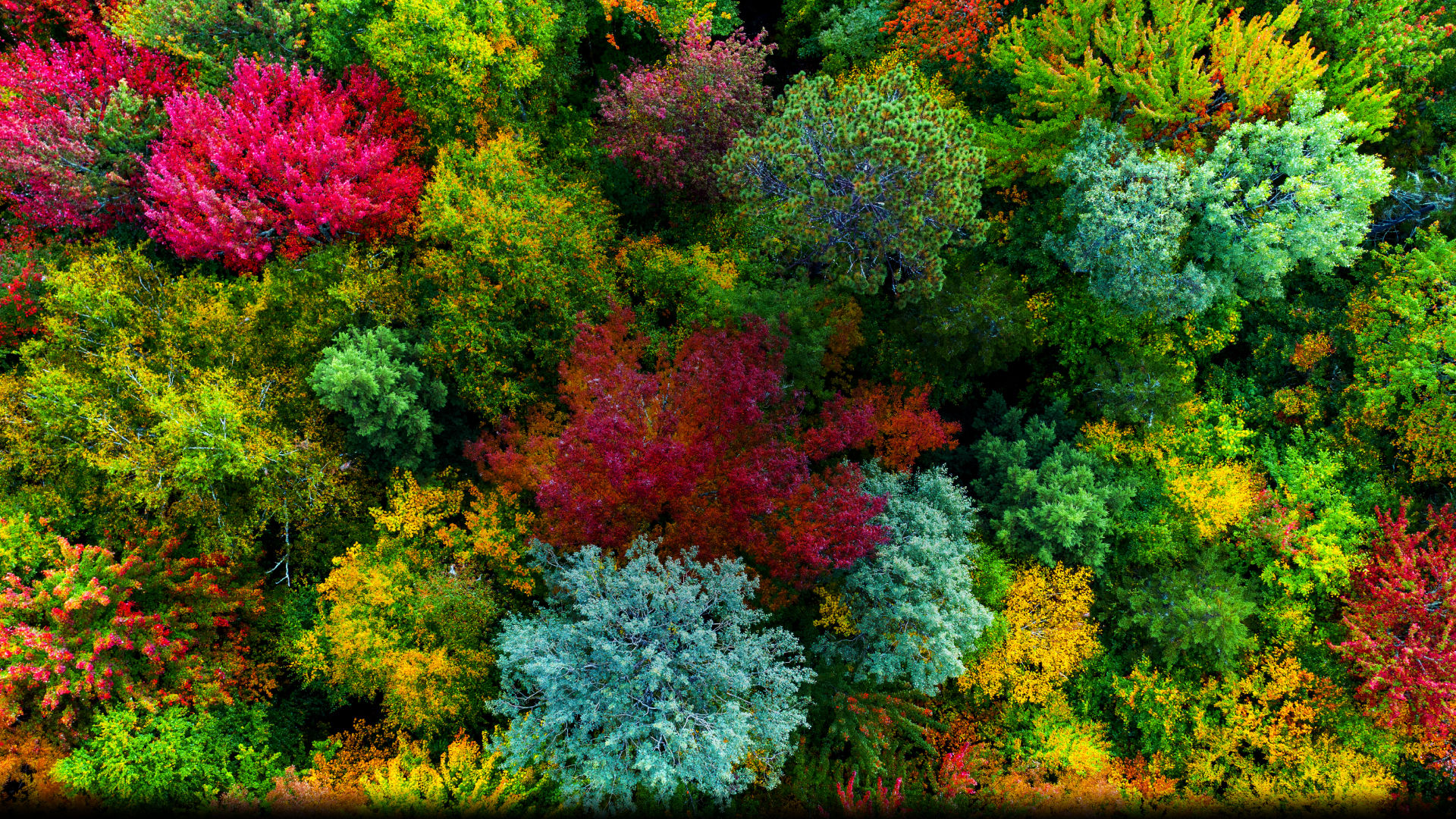 BenQ GP500 reproduce cinematic colors as directors envisioned