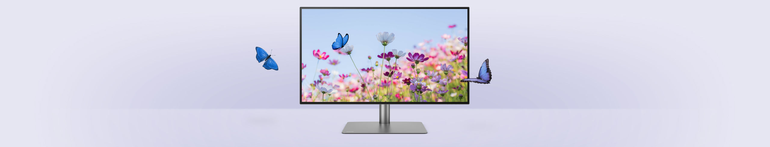 1 year of Pantone Connect Premium exclusive to BenQ monitor users
