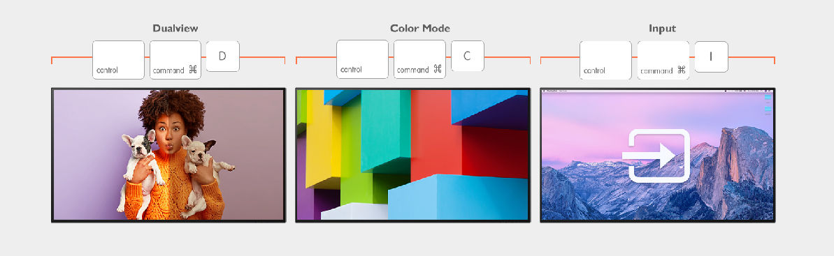 Multitasking embedded dualview, different color modes and input function
