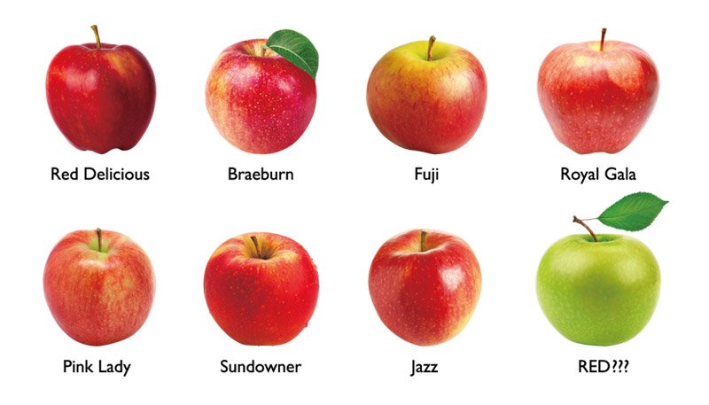 There are different varieties of apples.