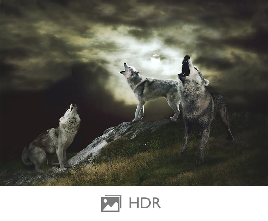 HDR elevates brightness and refines details.