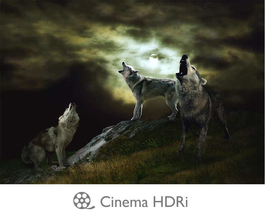 Cinema HDRi mode improves washed out images and optimizes the overall viewing experience by maintaining both contrast and detail.
