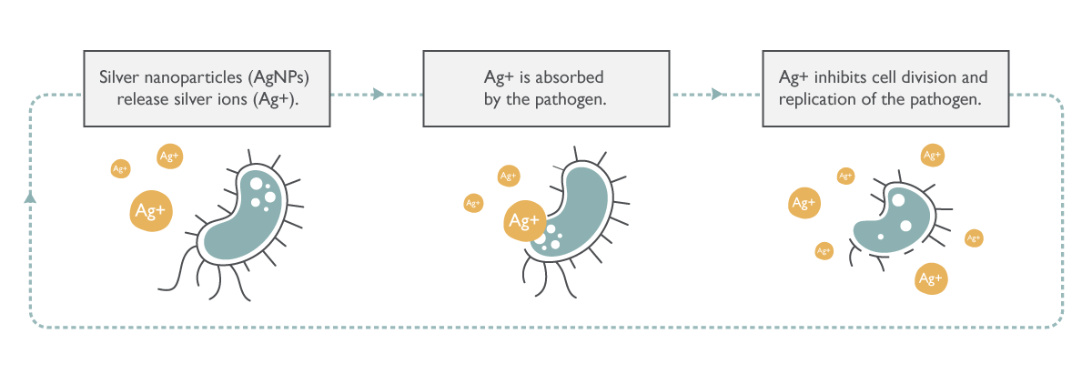 the antimicrobial properties of nanosilver- how does it work?