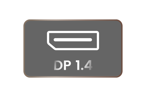DP 1.4